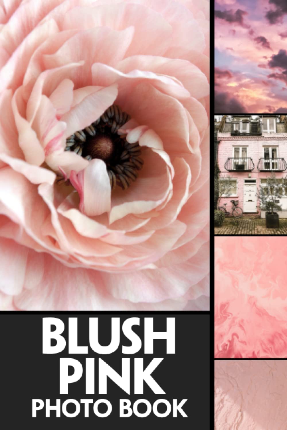 capítulo por capítulo baixar Blush Pink Photo Book: Amazing Colorful Pages For All Ages Relaxation And Stress Relief | Ideal Gift For Special Occasions