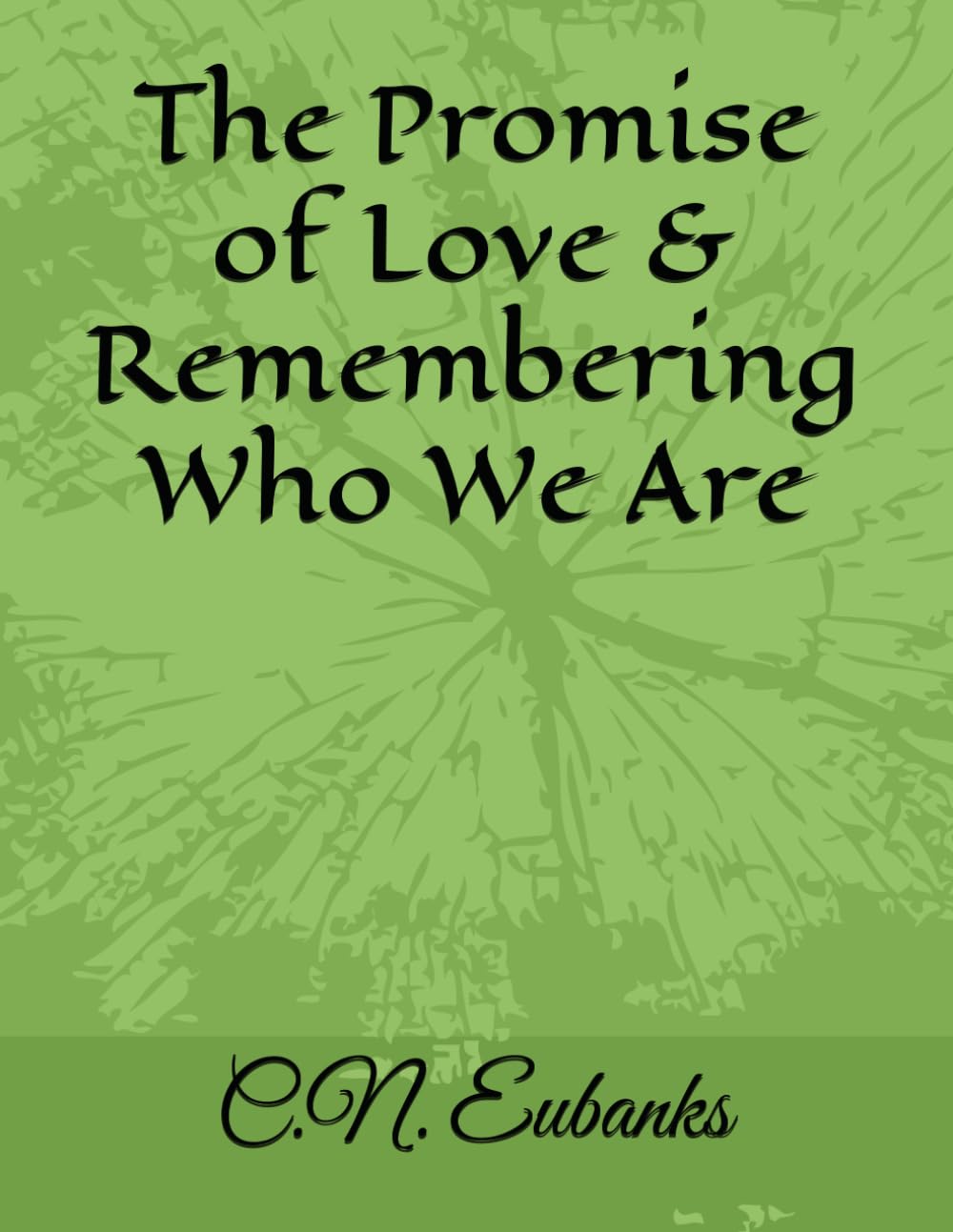The Promise of Love & Remembering Who We Are (The N2GR8 Series) baixar livro de graça