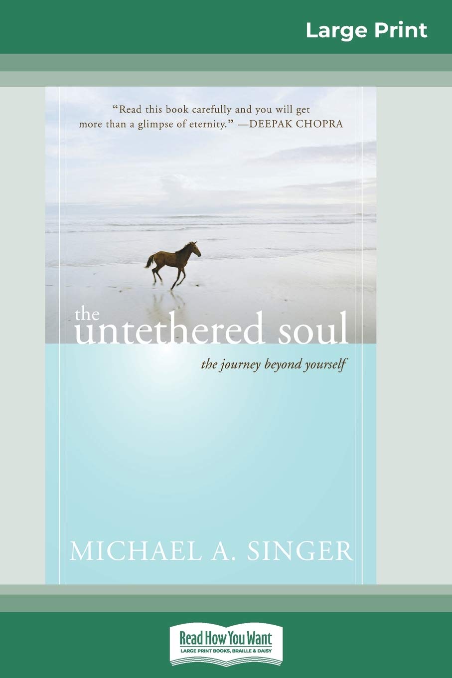 The Untethered Soul: The Journey Beyond Yourself (16pt Large Print Edition) baixar livro de graça
