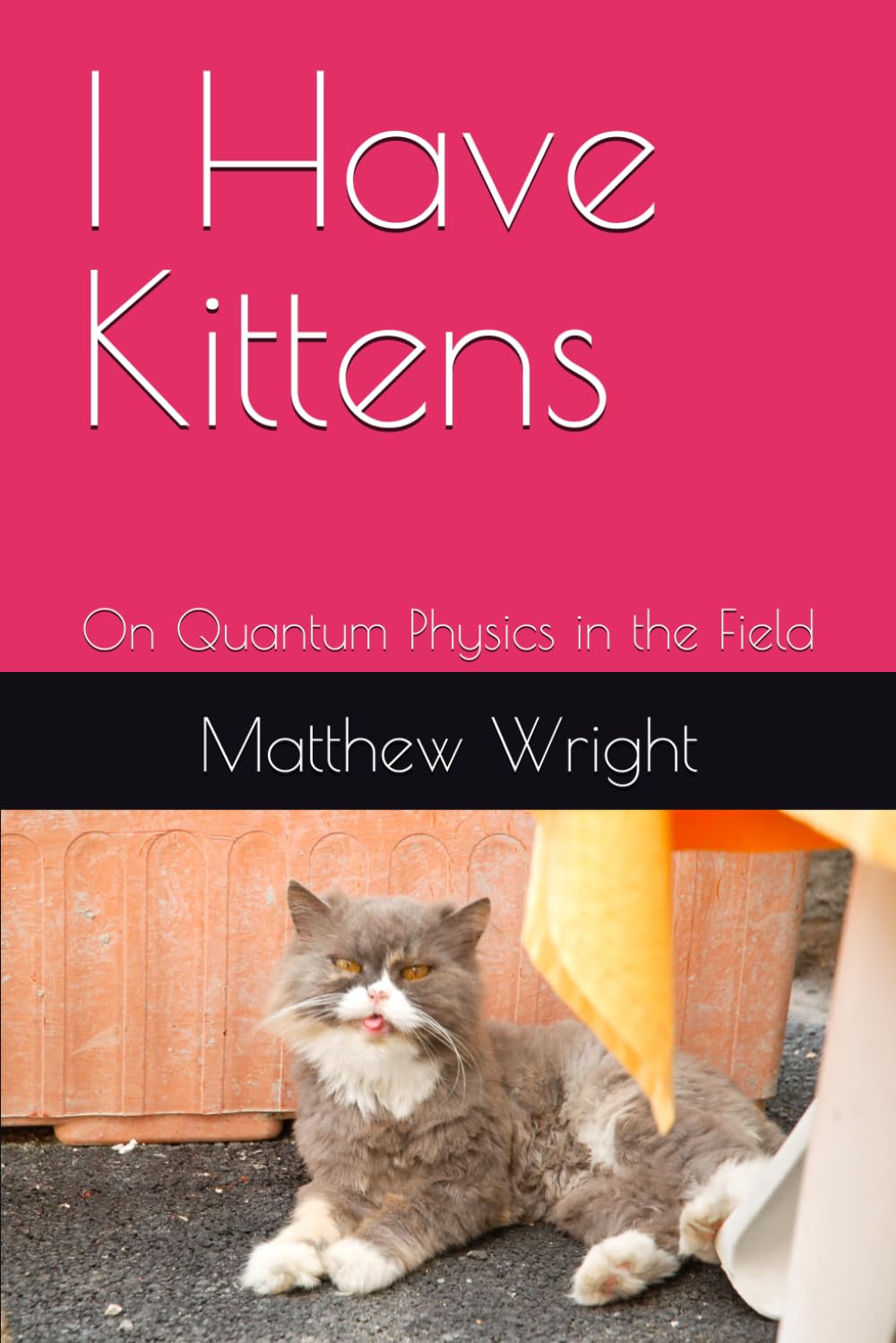 ler totalmente I Have Kittens: On Quantum Physics in the Field