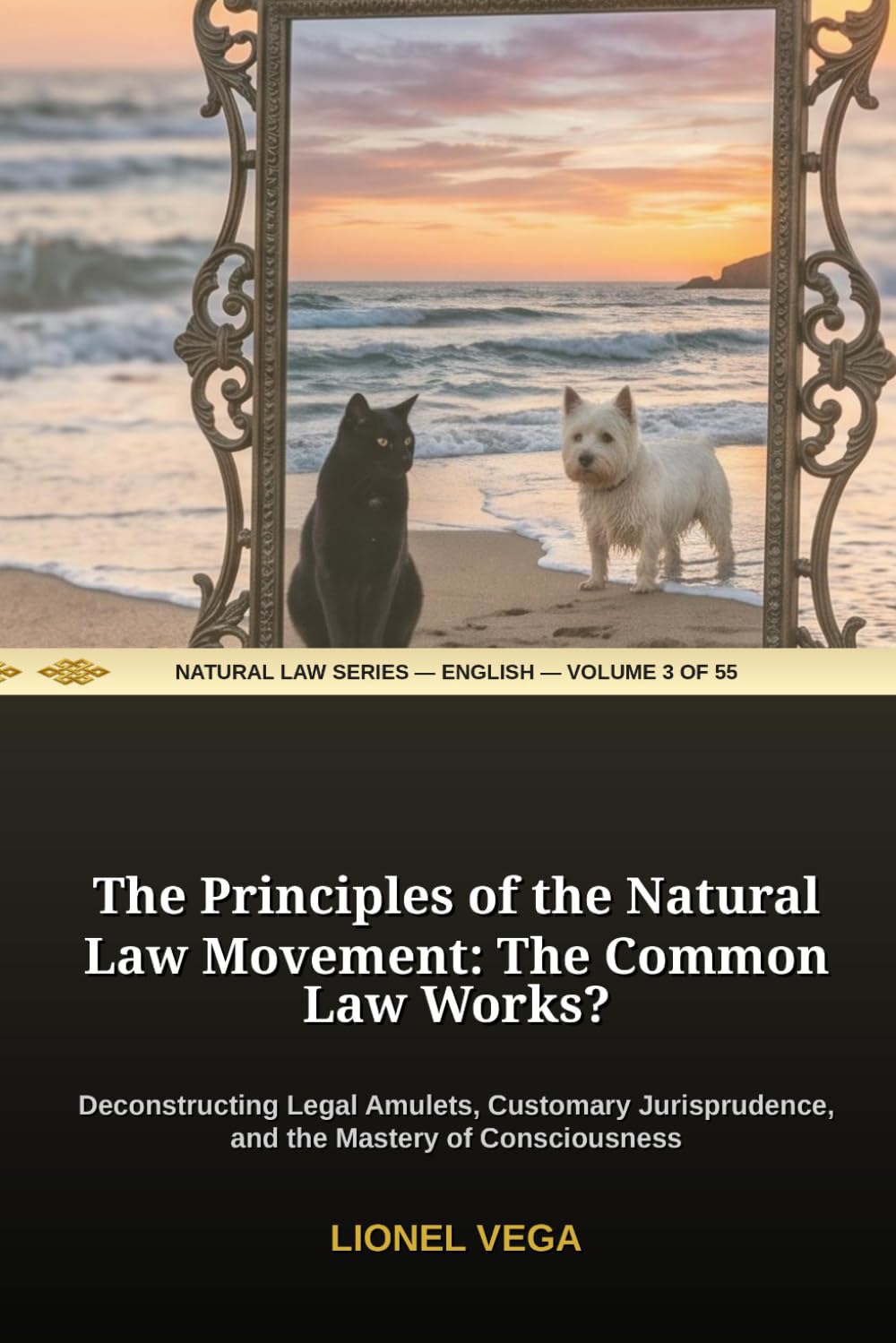 THE PRINCIPLES OF THE NATURAL LAW MOVEMENT: THE COMMON LAW WORKS?: Deconstructing Legal Amulets, Customary Jurisprudence, and the Mastery of... LAW: SCIENCE OR MYTH? (55-Volume Collection)) baixar livro de graça