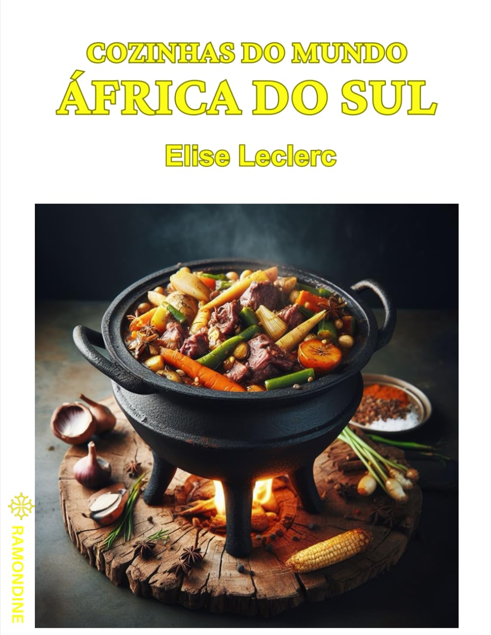 Cozinhas do Mundo: África do Sul (Portuguese Edition) baixar livro de graça