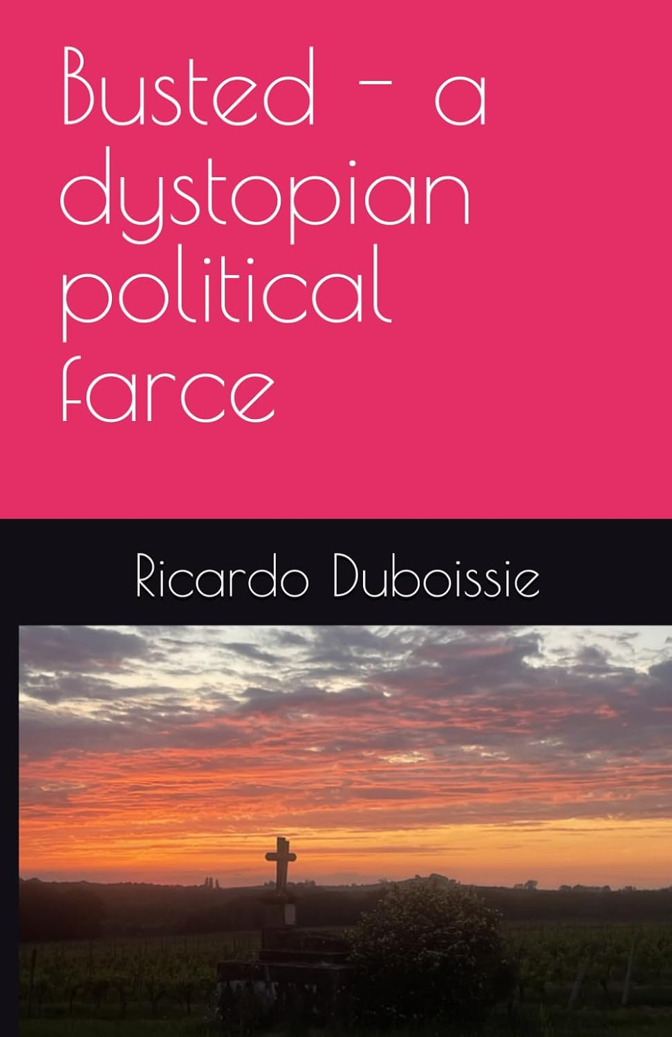 capítulo por capítulo baixar Busted - a dystopian political farce: a thought provoking alternative dystopian future/ humorous political novel/216 pages 5 by 7.5/funny