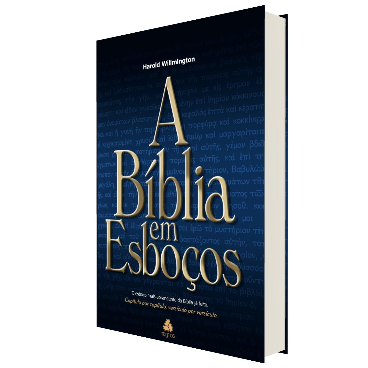 ler totalmente A Bíblia em esboços