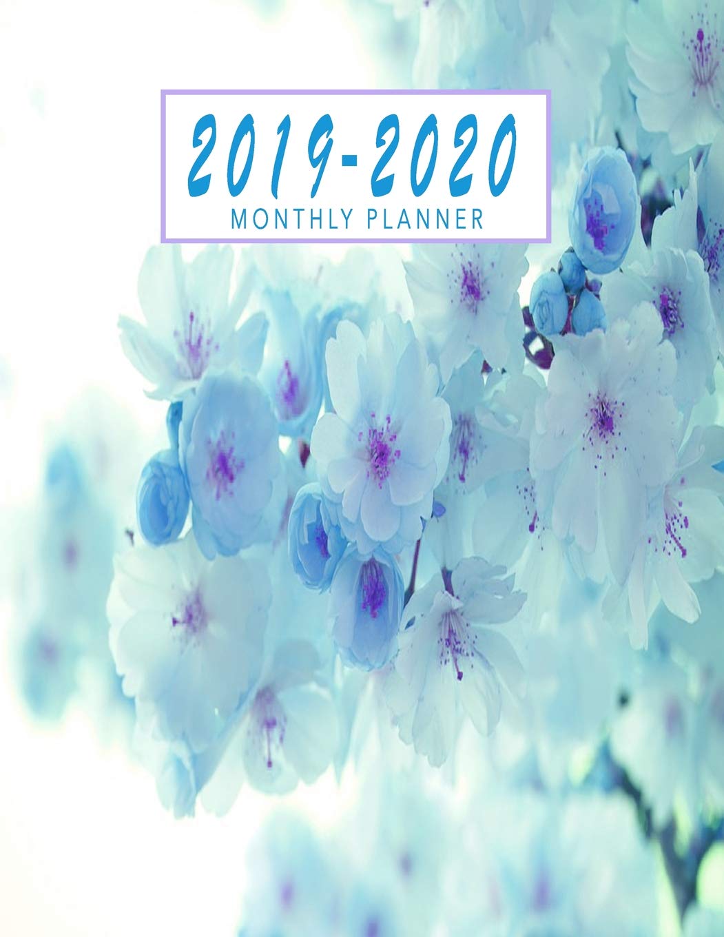 2019-2020 Monthly Planner: Two Year Calendar Planner January 2019 - December 2020 Monthly Planner Schedule Organizer Agenda Planner Floral baixar o livro de graça