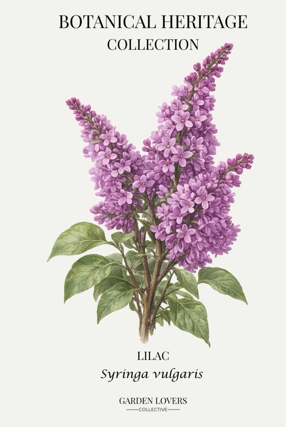 Lilac: A Botanical Heritage Collection Notebook Featuring Syringa vulgaris baixar livro de graça
