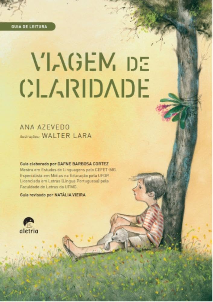 Guia de Leitura: Viagem de Claridade baixar livro de graça