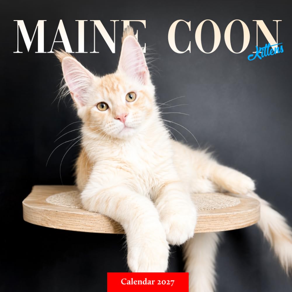 ler totalmente Maine Coon Kittens Calendar 2027: Playful Longhaired Kitten Photography