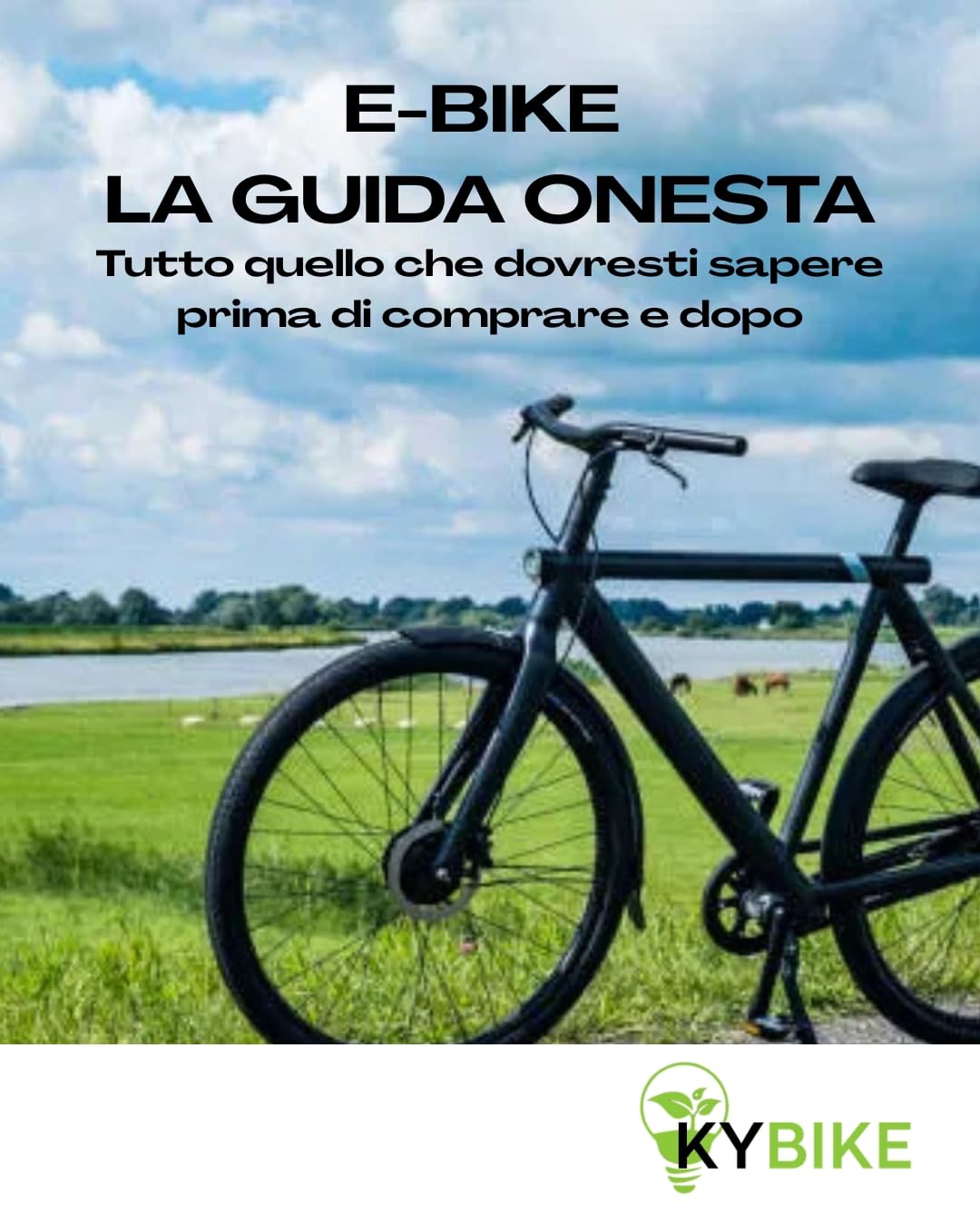 ler totalmente E-Bike La Guida Onesta: Tutto quello che dovresti sapere prima di comprare e dopo (Italian Edition)