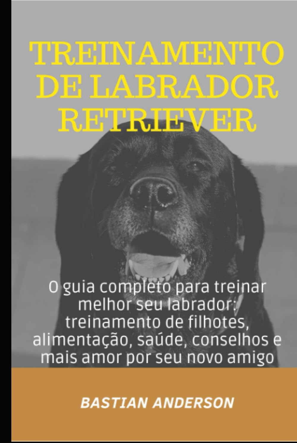 Treinamento de Labrador Retriever: O guia completo para treinar melhor seu labrador: treinamento de filhotes, alimentação, saúde, conselhos e mais amor por seu novo amigo (Portuguese Edition) baixar livro de graça