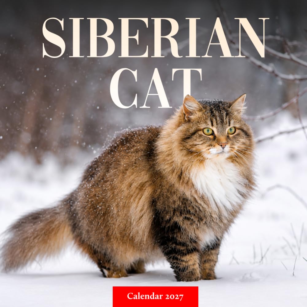 Siberian Cat Calendar 2027: Longhaired Cat Photography baixar livro de graça