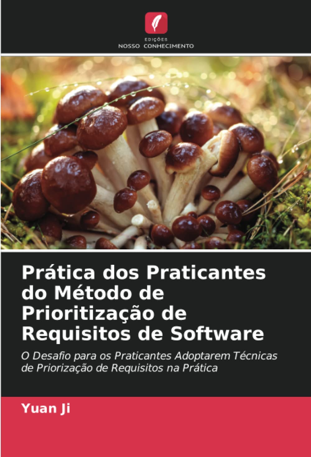 Prática dos Praticantes do Método de Prioritização de Requisitos de Software: O Desafio para os Praticantes Adoptarem Técnicas de Priorização de Requisitos na Prática baixar o livro de graça