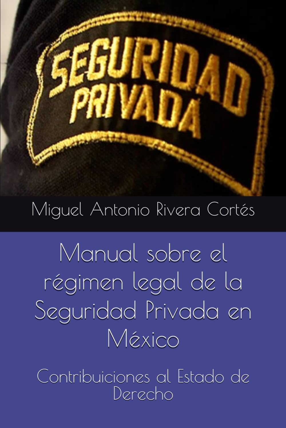 Manual sobre el régimen legal de la Seguridad Privada en México: Contribuiciones al Estado de Derecho baixar o livro de graça
