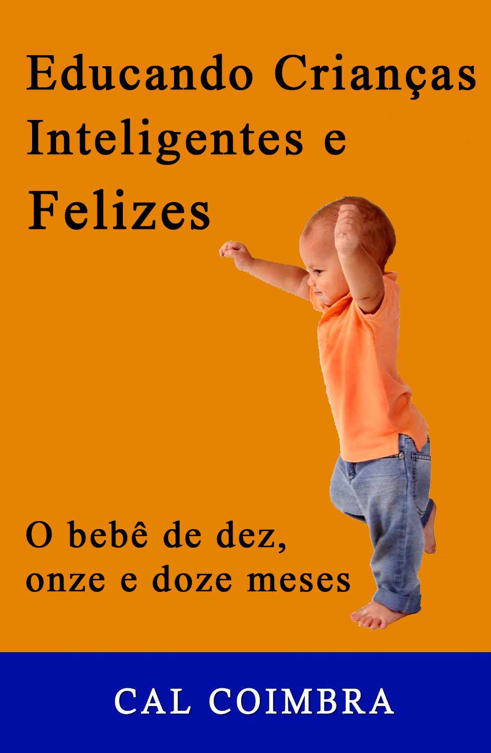 Educando Crianças Inteligentes e Felizes: Cultive a inteligência emocional em seu bebê. 4ª fase: O bebê de dez, onze e doze meses baixar livro de graça