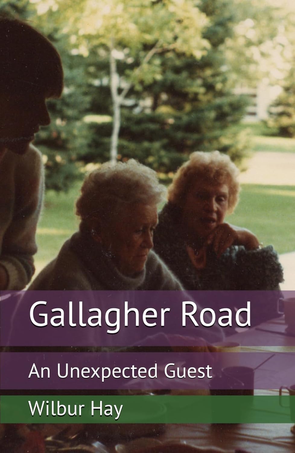 Gallagher Road: An Unexpected Guest (The Gallagher Road Chronicles)
