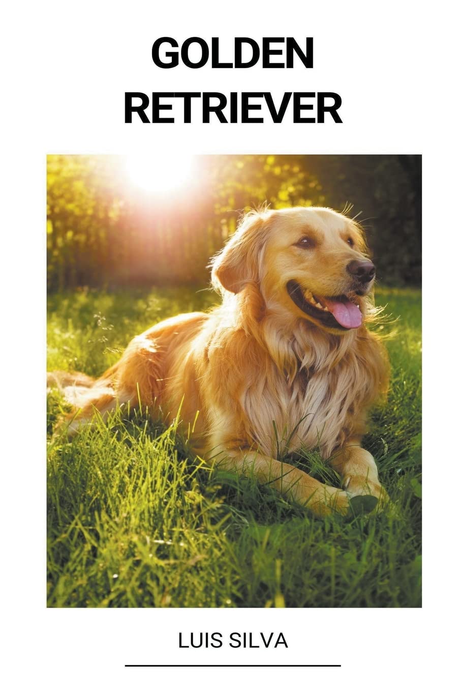 ler totalmente Golden Retriever