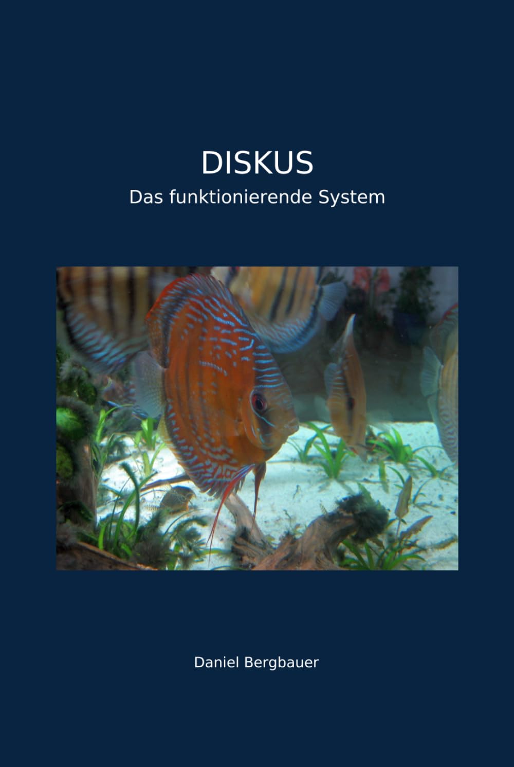 Diskus - Das funktionierende System: Klare Strukturen, ruhige Abläufe und stabile Ergebnisse (German Edition) baixar livro de graça