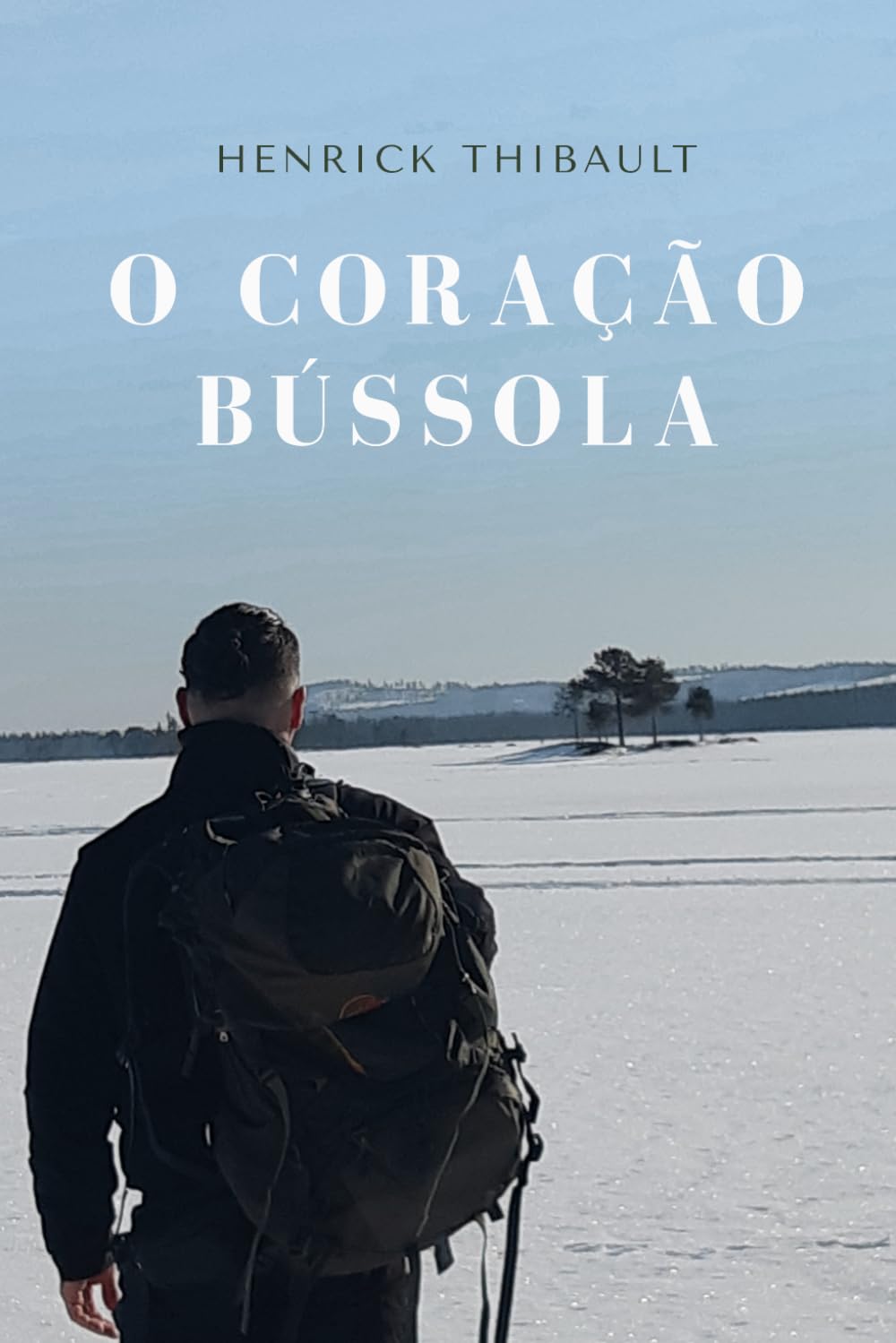 O CORAÇÃO BÚSSOLA (Portuguese Edition) baixar o livro de graça