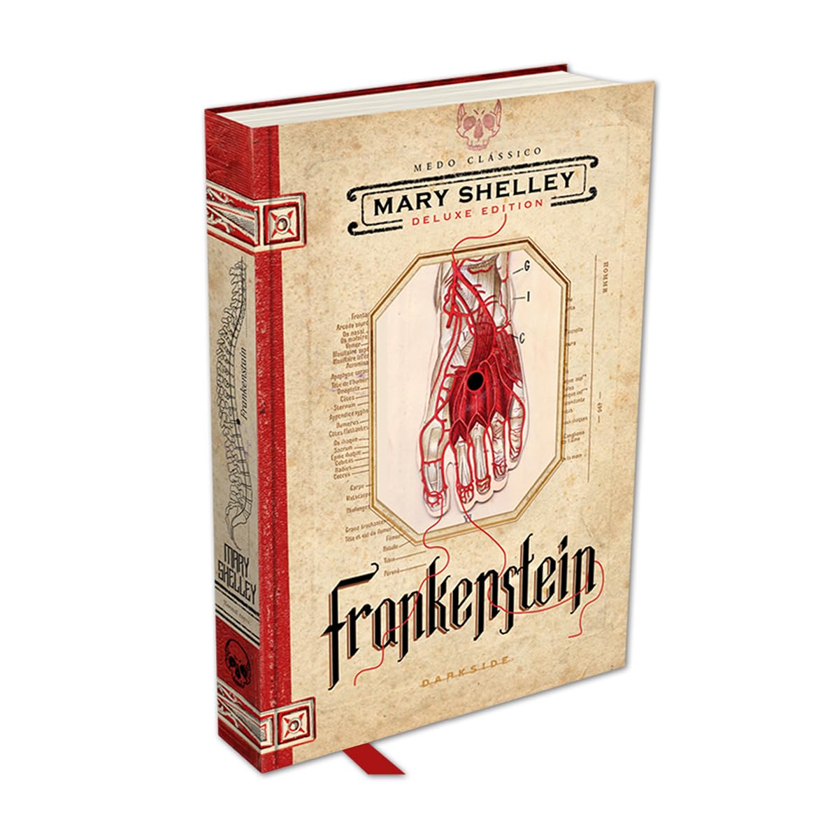 capítulo por capítulo baixar FRANKENSTEIN, OU O PROMETEU MODERNO - EDIÇÃO ILUSTRADA DO CLÁSSICO DE MARY SHELLEY: O clássico está vivo!