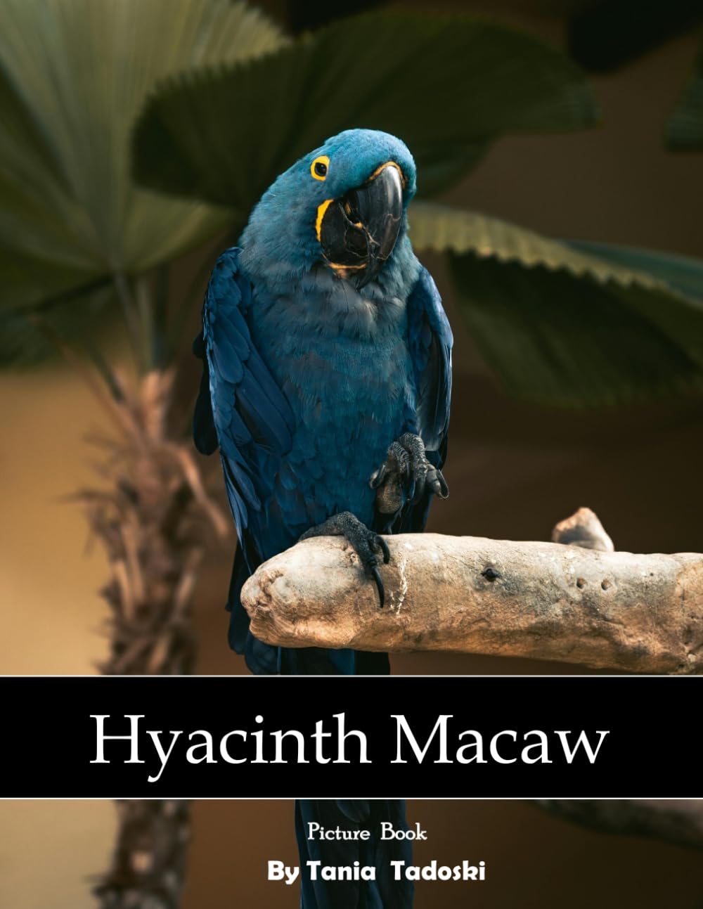 Hyacinth Macaw: Hyacinth Macaw: Blue Parrot, Rainforest, Wings, Wildlife, Brazil and More baixar o livro de graça