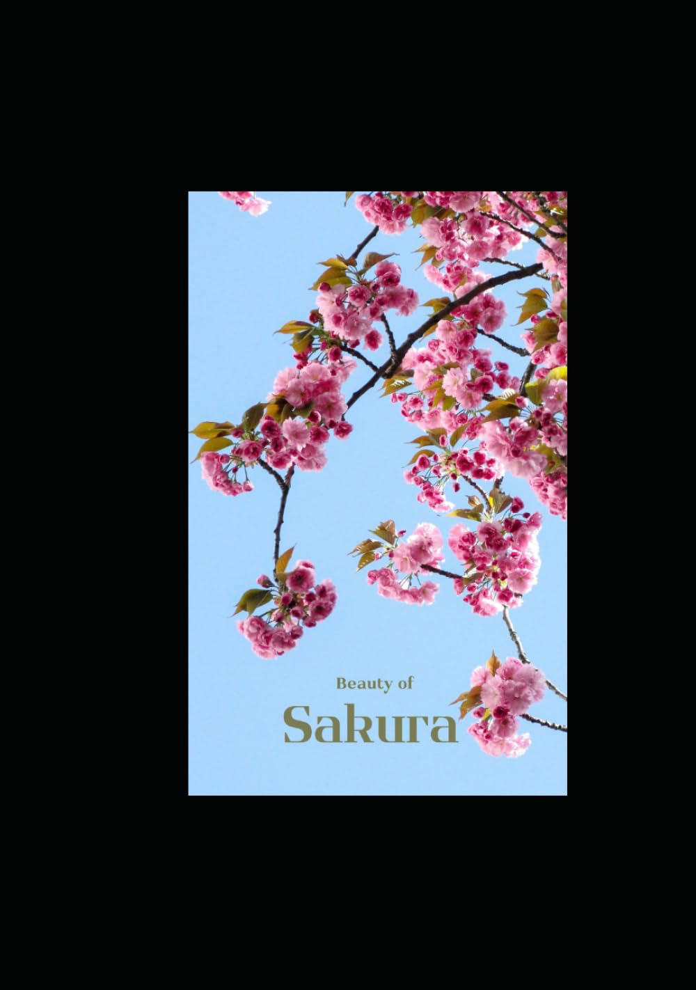 Sakura baixar livro de graça