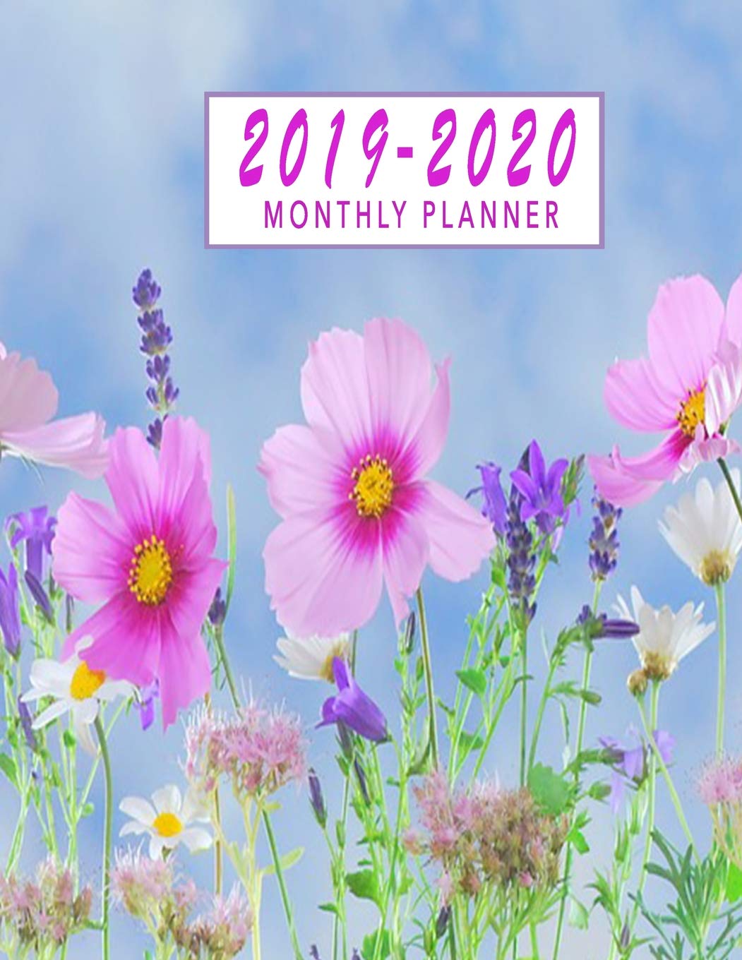 capítulo por capítulo baixar 2019-2020 Monthly Planner: 24 Months Calendar January 2019 - December 2020 Monthly Planner Schedule Organizer Agenda Planner