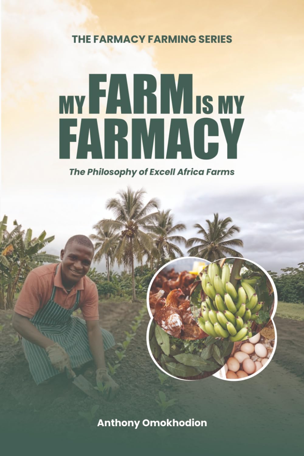 My Farm Is My Farmacy: The Philosophy of Excell Africa Farms baixar o livro de graça