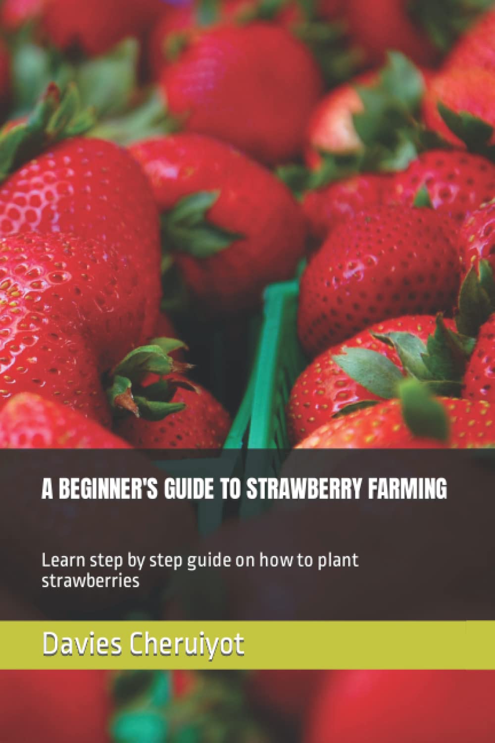 ler totalmente A BEGINNER'S GUIDE TO STRAWBERRY FARMING: Learn step by step guide on how to plant strawberries