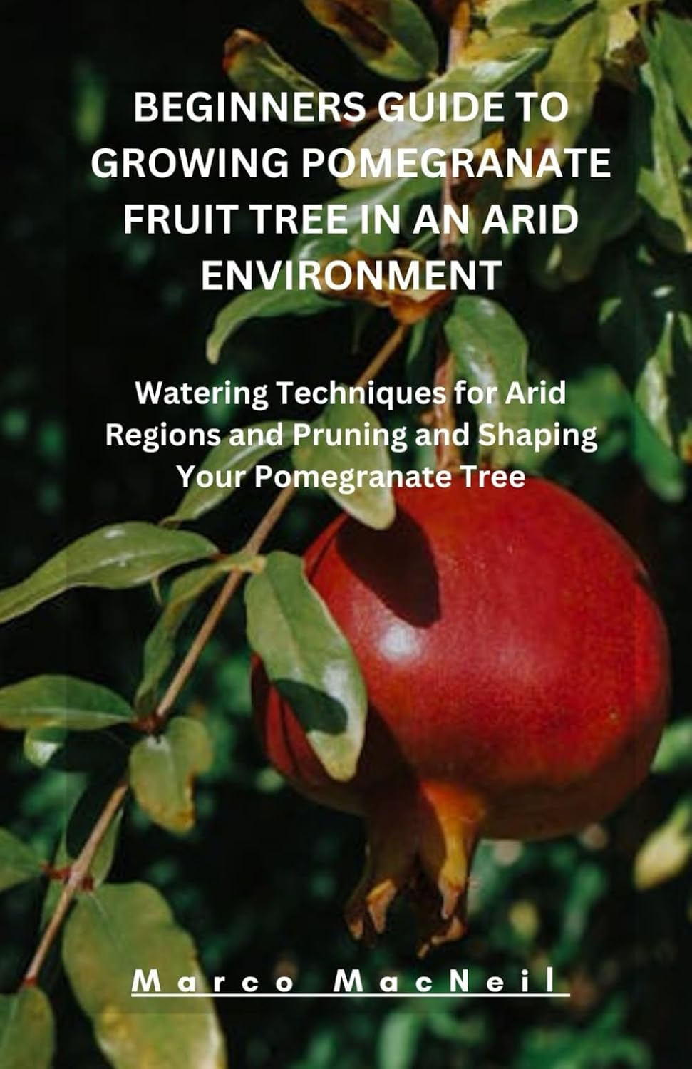 BEGINNERS GUIDE TO GROWING POMEGRANATE FRUIT TREE IN AN ARID ENVIRONMENT: Watering Techniques for Arid Regions and Pruning and Shaping Your Pomegranate Tree baixar livro de graça