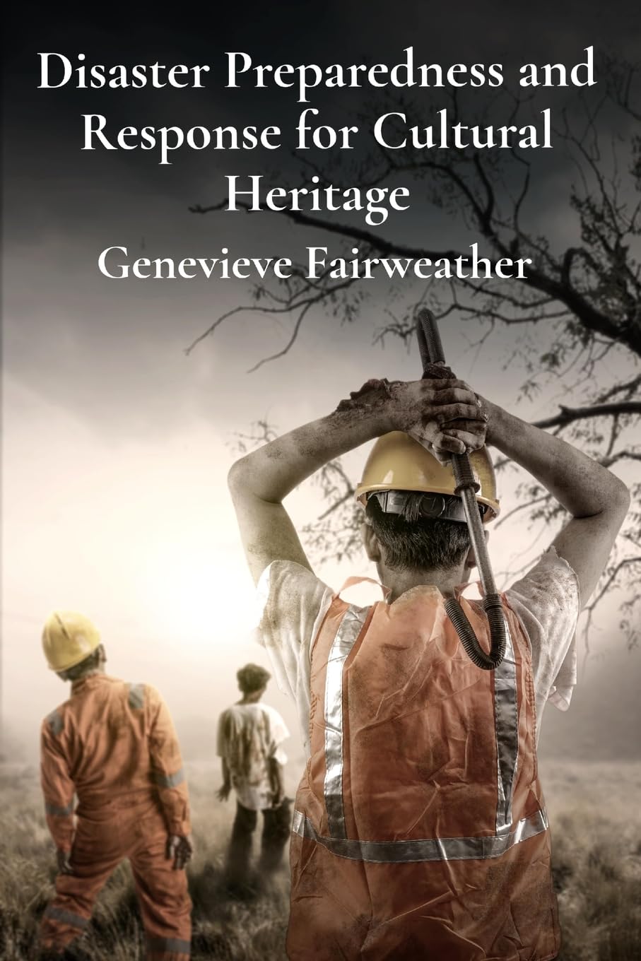 ler totalmente Disaster Preparedness and Response for Cultural Heritage: Protecting Collections from Natural Disasters and Emergencies