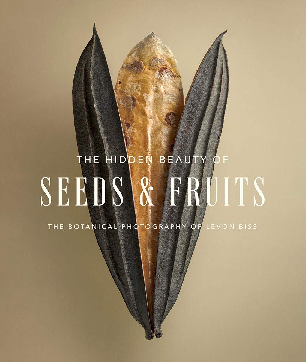 The Hidden Beauty of Seeds & Fruits: The Botanical Photography of Levon Biss baixar o livro de graça