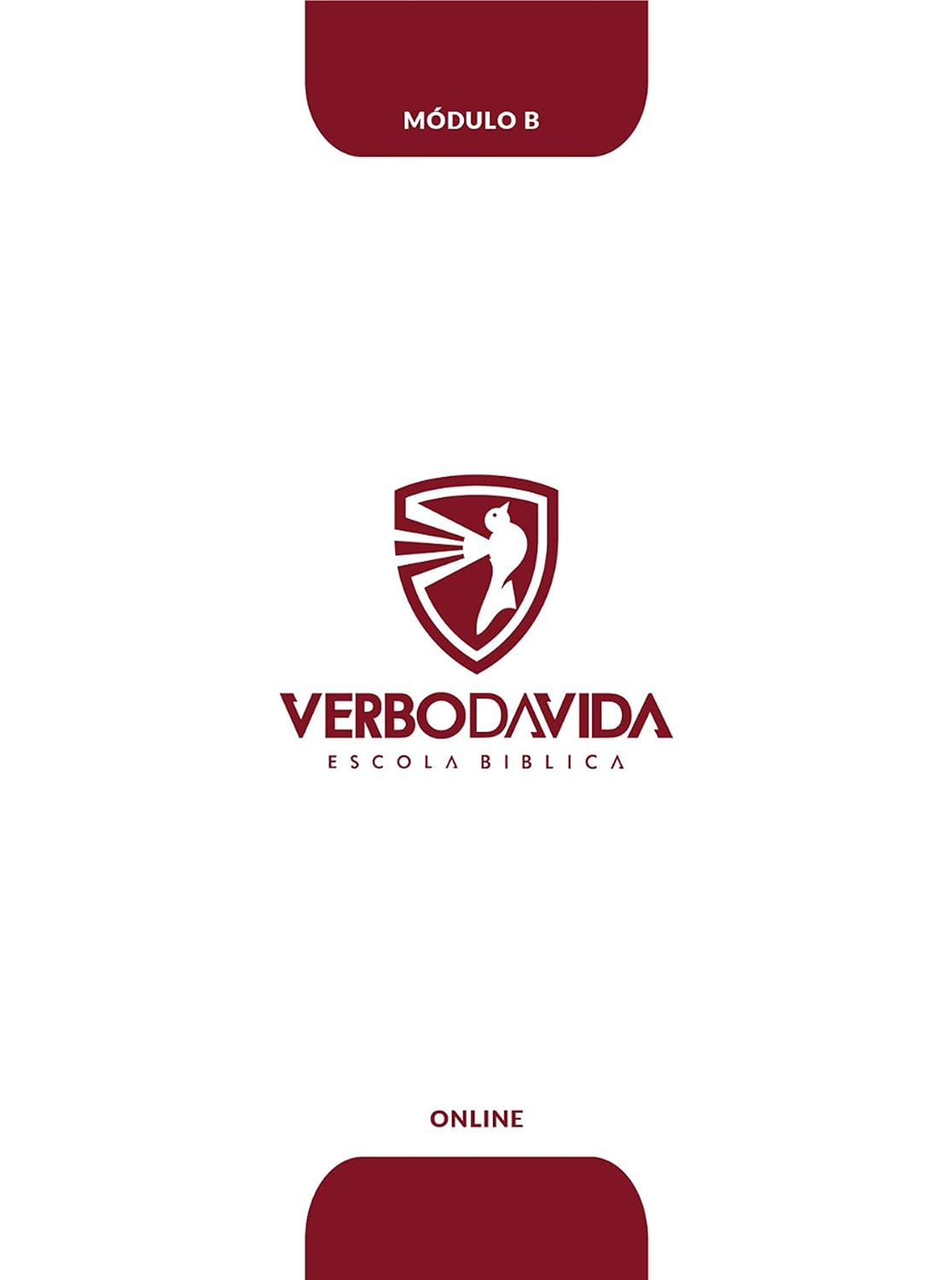 capítulo por capítulo baixar Escola Bíblica Verbo da Vida: Módulo B