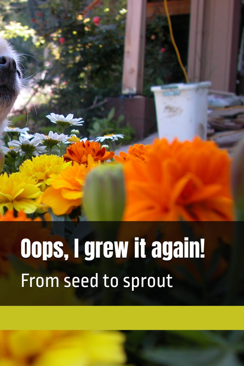 Oops, I grew it again!: From seed to sprout baixar o livro de graça