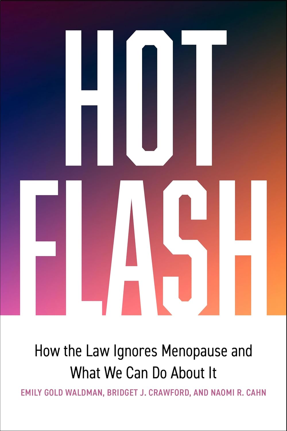 ler totalmente Hot Flash: How the Law Ignores Menopause and What We Can Do About It (English Edition)