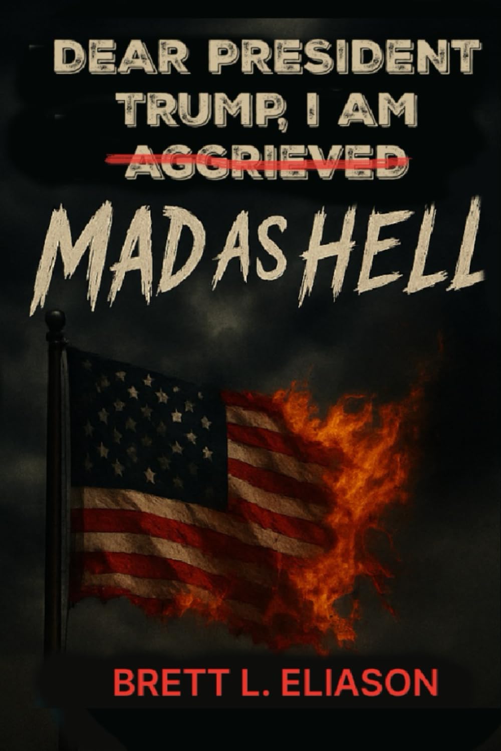 capítulo por capítulo baixar Dear President Trump, I Am Aggrieved: Mad as Hell