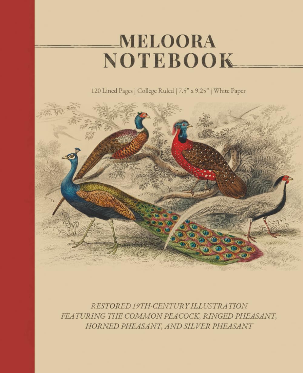 Meloora Vintage Notebook: Vintage Aesthetic College Ruled Notebook – 7.5 x 9.25 in Softcover Journal for Writing, School, and Creative Journaling baixar livro de graça