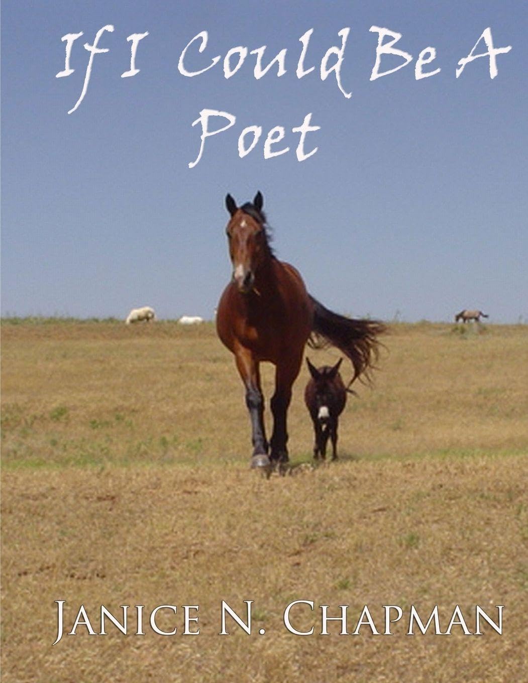 capítulo por capítulo baixar If I Could Be A Poet (First Edition)