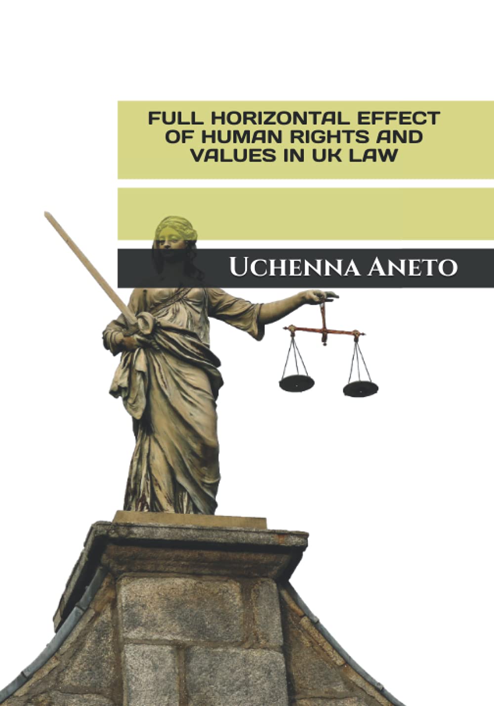 Full Horizontal Effect of Human Rights and Values in UK Law baixar livro de graça