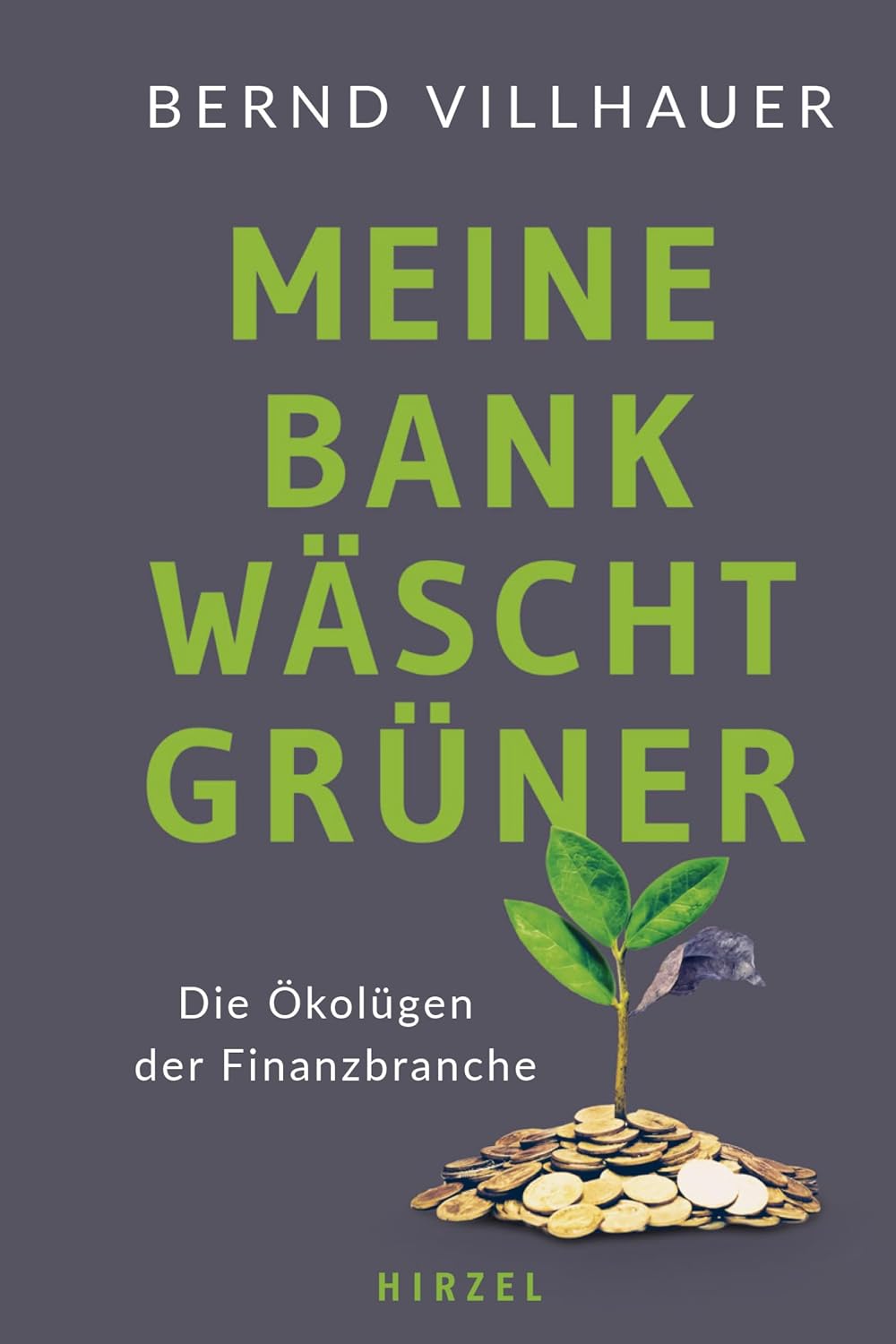 Meine Bank wäscht grüner: Die Ökolügen der Finanzbranche | Das Aufklärungsbuch über Greenwashing in der Finanzbranche (German Edition) baixar livro de graça