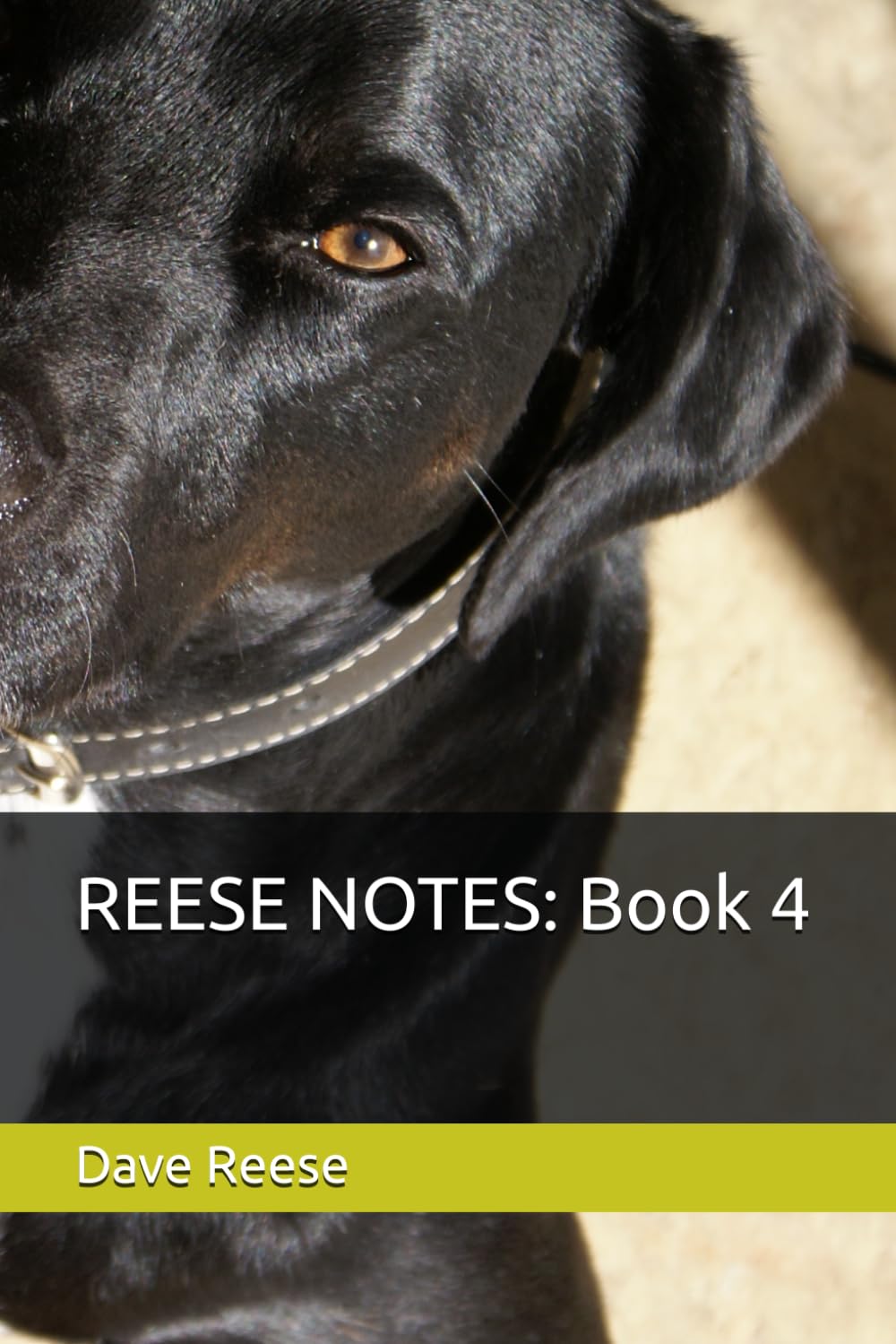 REESE NOTES: Book 4