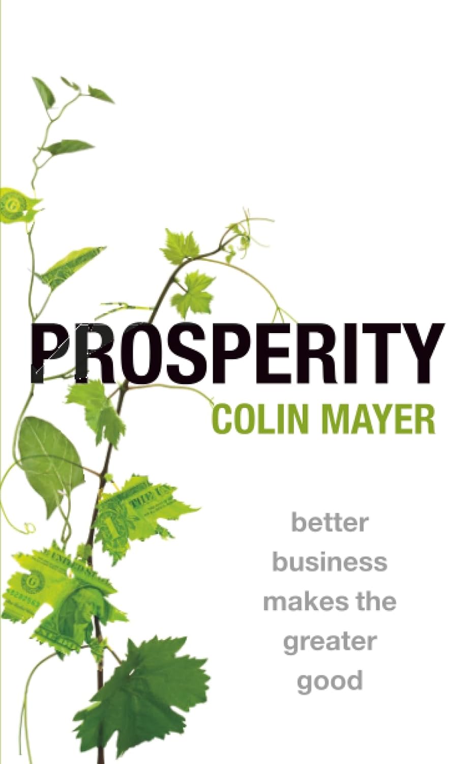 Prosperity: Better Business Makes the Greater Good baixar livro de graça