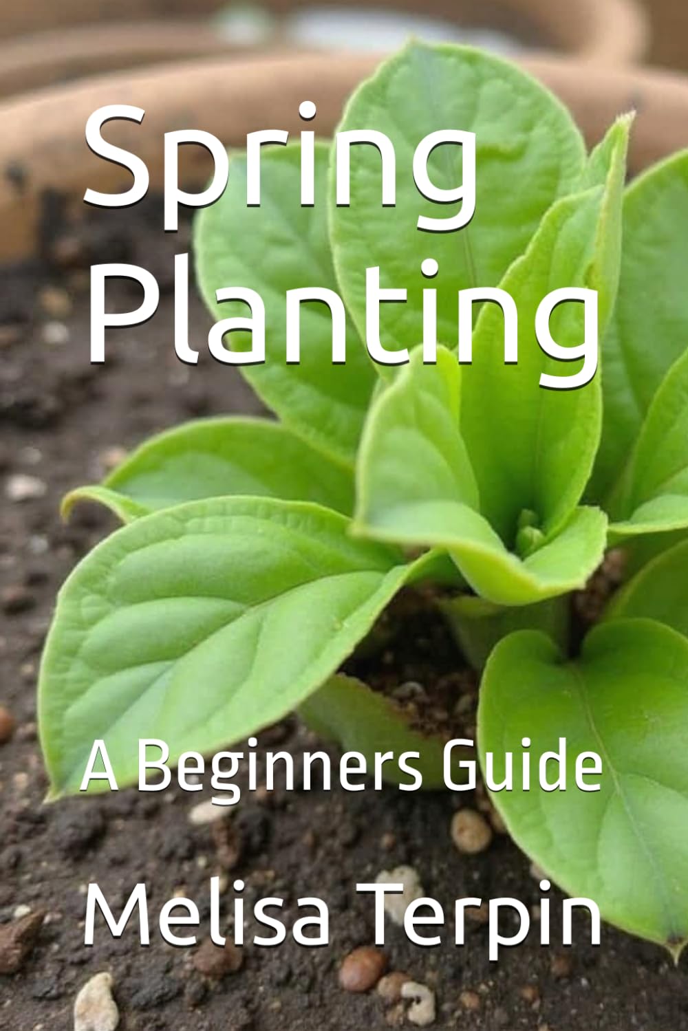Spring Planting: A Beginners Guide (DIY)