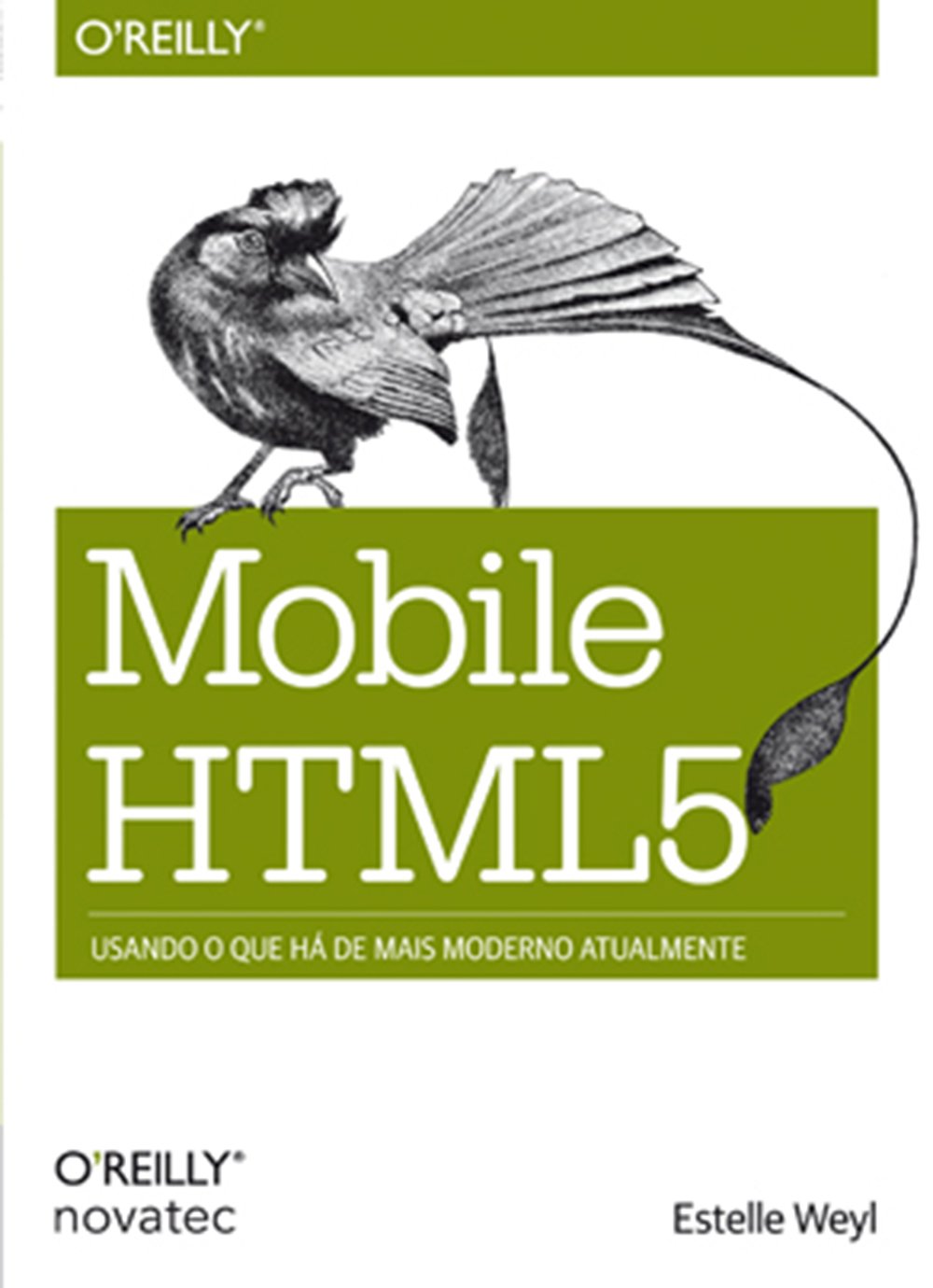 Mobile HTML5 baixar livro de graça