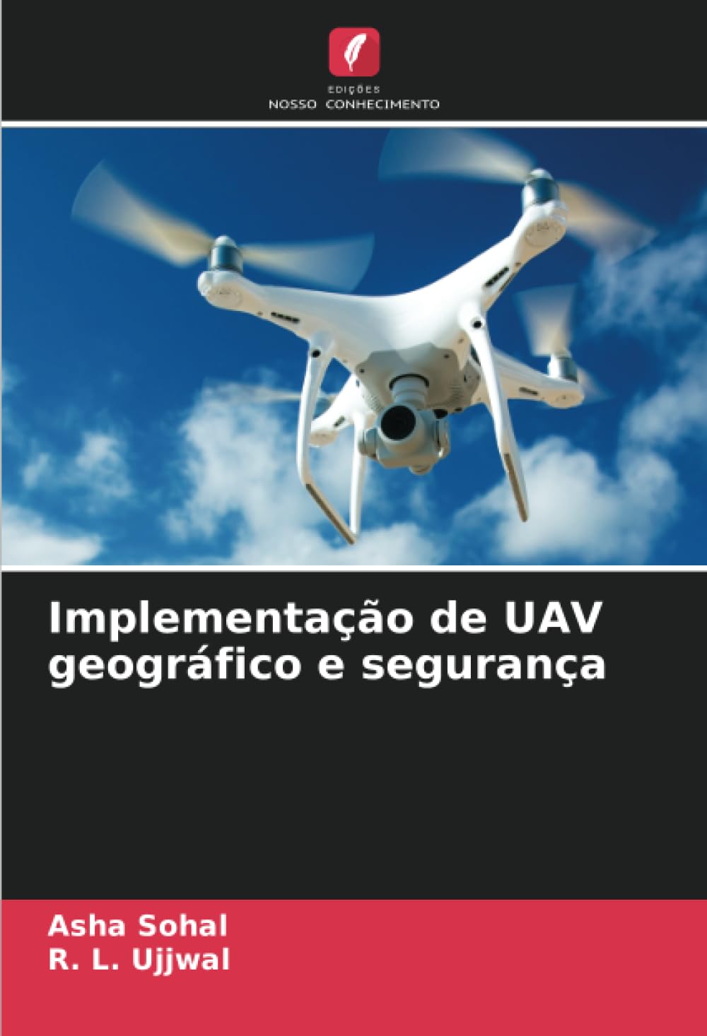 capítulo por capítulo baixar Implementação de UAV geográfico e segurança