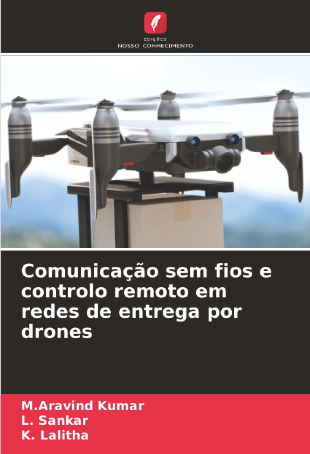 Comunicação sem fios e controlo remoto em redes de entrega por drones baixar livro de graça