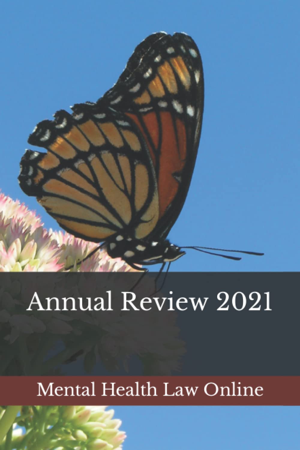 Mental Health Law Online: Annual Review 2021 baixar o livro de graça