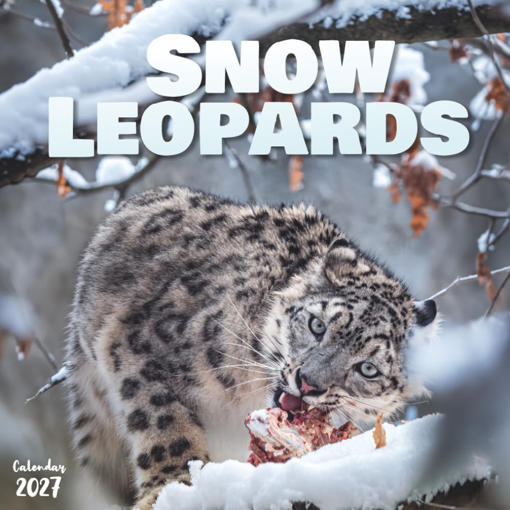 Snow Leopards 2027 Calendar: 12 Months of Wild Cats baixar o livro de graça