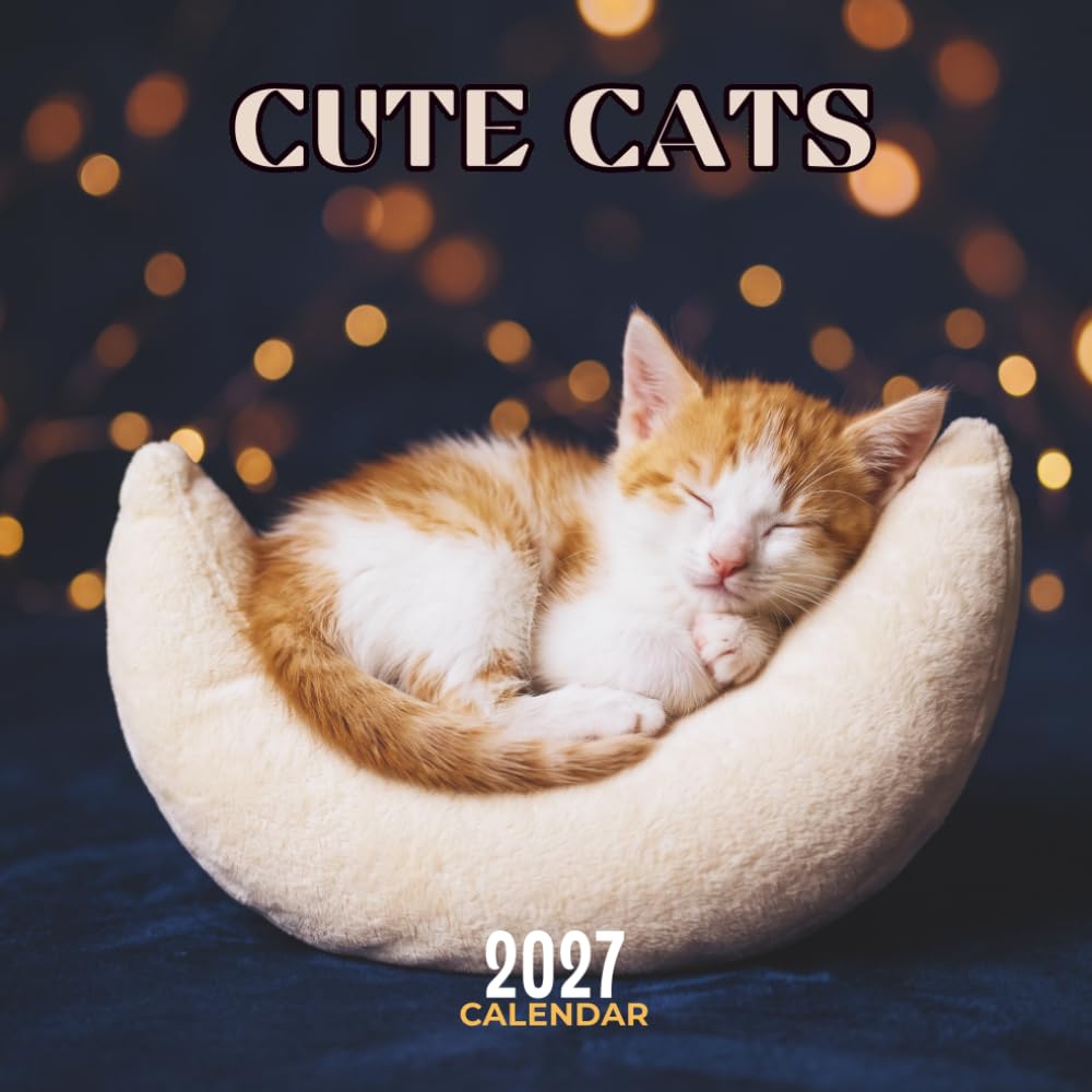 ler totalmente Cute Cats 2027 Calendar: Playful Felines in Cozy Seasonal Scenes with Monthly Grids, U.S. Holidays and Notes | 8.5 x 8.5 Inches
