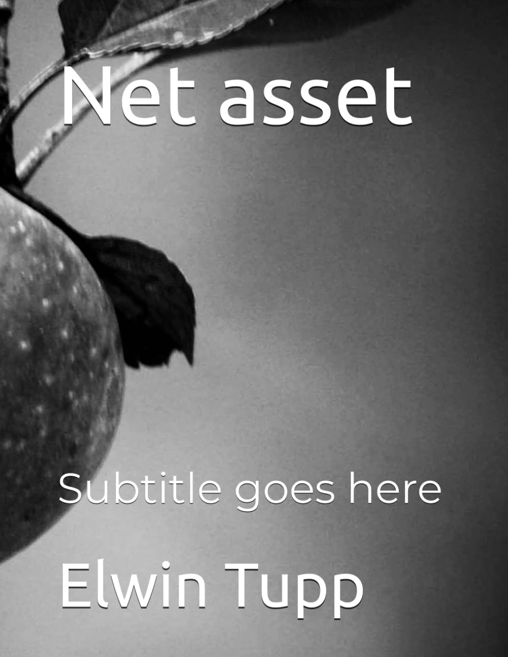 Net asset: Subtitle goes here baixar livro de graça