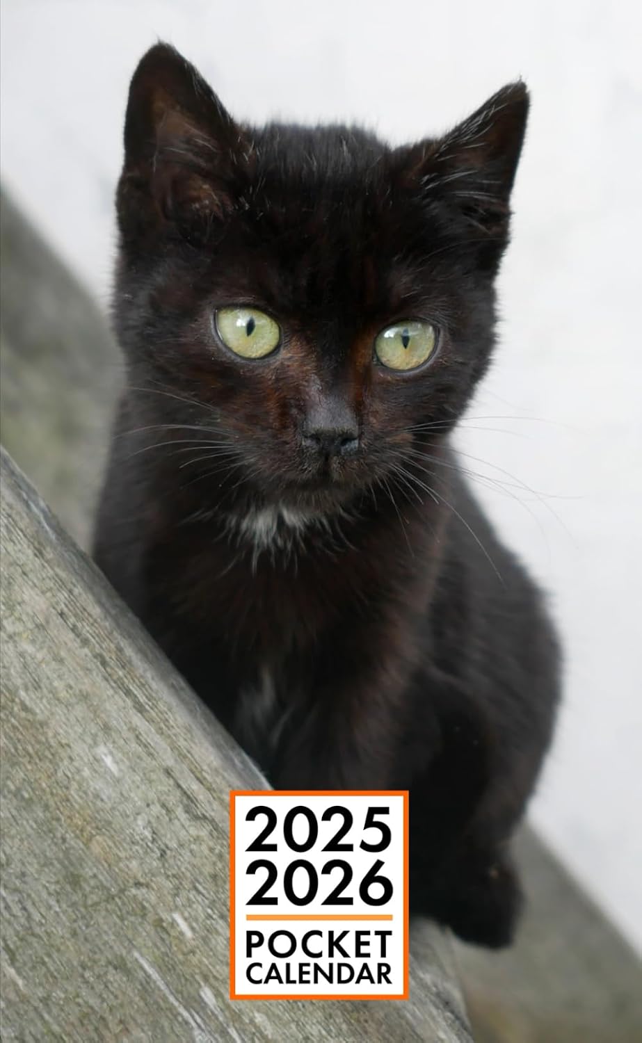 Pocket Calendar 2025-2026 for Purse – Black Kitten | 2 Year Pocket Planner January 2025 - December 2026 | Small Pocket Size 4 x 6.5 | Sketches of Cats in the Middle baixar o livro de graça
